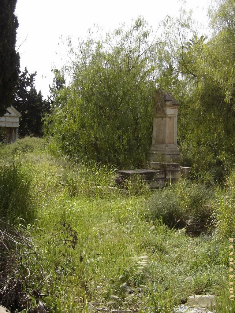 LA SENIA CIMETIERE SEPTEMBRE 2006 PAR MARIE PIERRE NOURRY LA SENIA   (2).jpg
